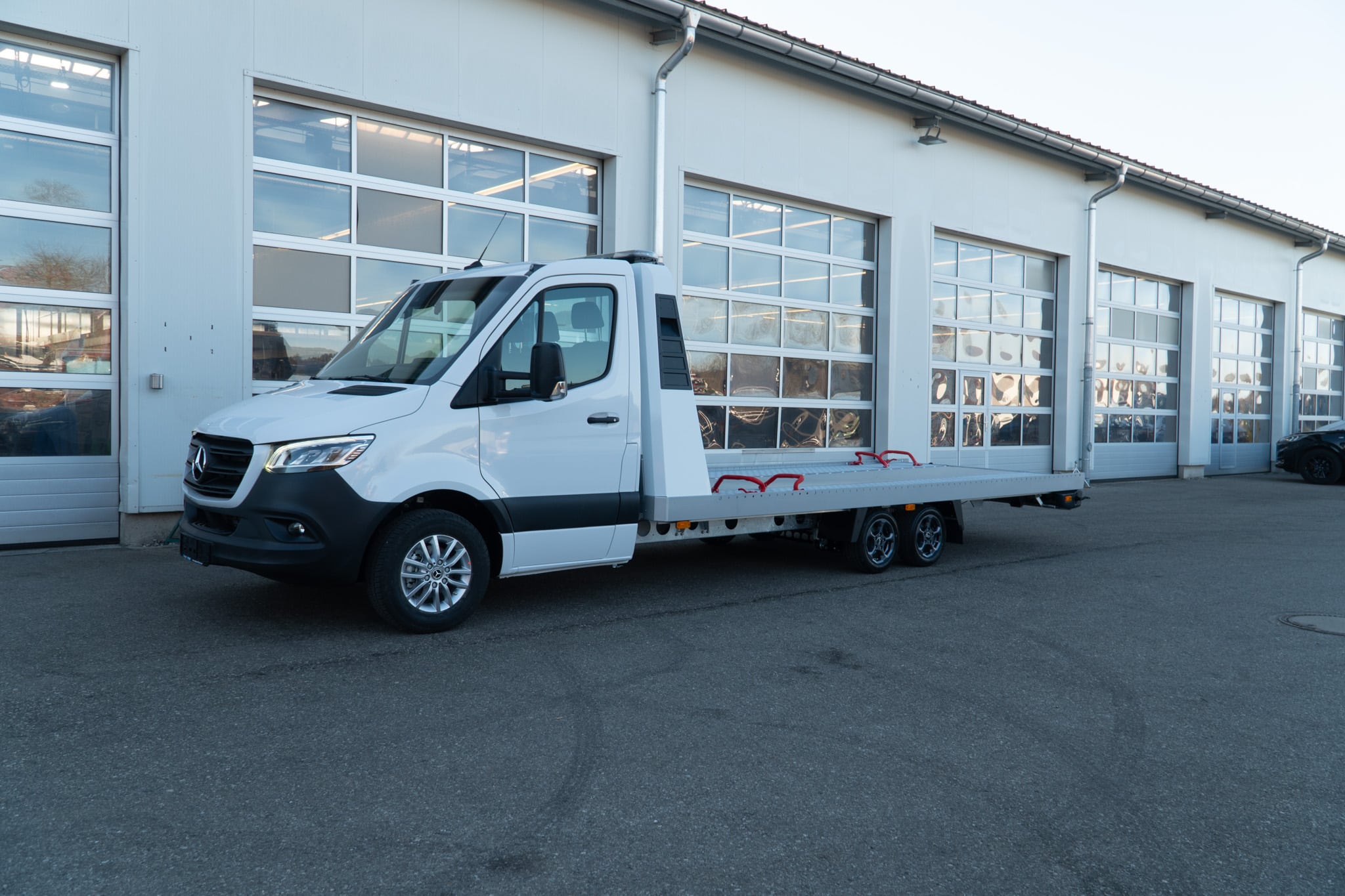 ALGEMA FIT-ZEL Speeder - Afbeelding 6