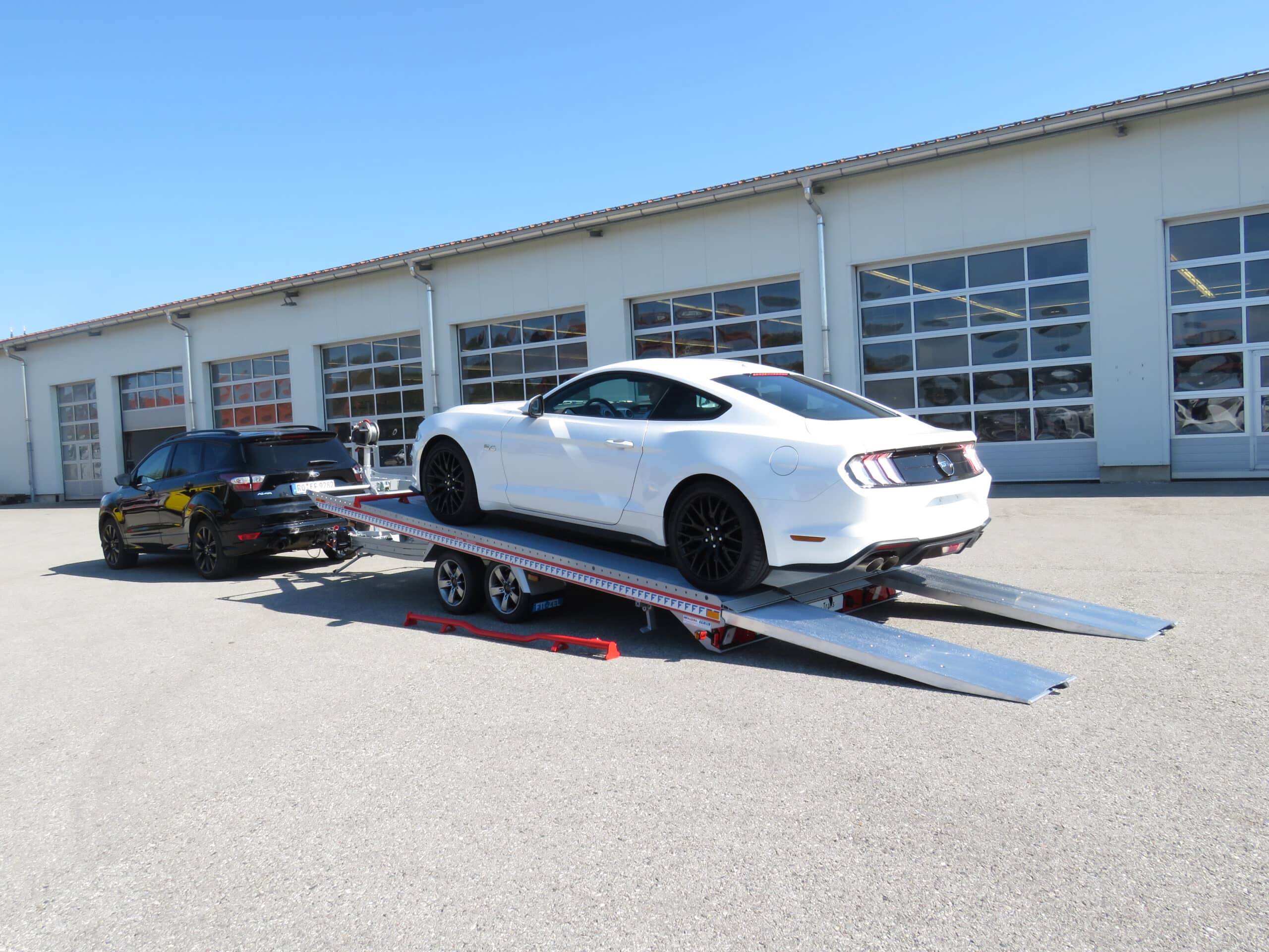 Algema Fit-Zel Euro-Trans - Afbeelding 8